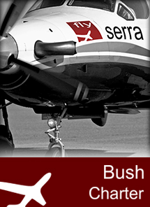 Fly to the African Bush and explore the African Bush by private Air Charter with flySerra Private Jet and Air Charters.